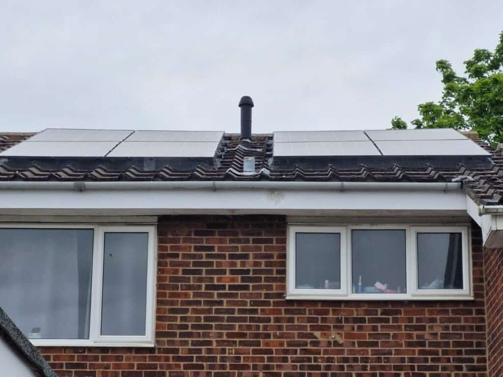Birdproofing Ely